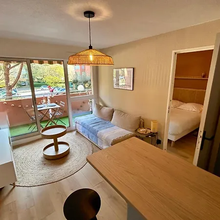 Apartment Charming Air-conditioned With Terrace & Parking 600 M From The Le Lavandou