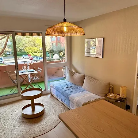 Apartment Charming Air-conditioned With Terrace & Parking 600 M From The Le Lavandou