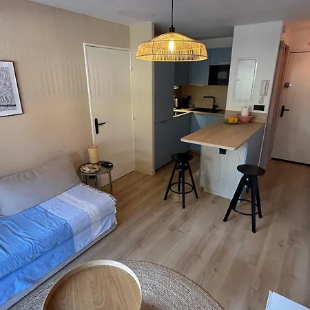 Charming Air-conditioned With Terrace & Parking 600 M From The Apartment Le Lavandou