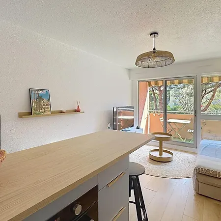 Charming Air-conditioned With Terrace & Parking 600 M From The Le Lavandou