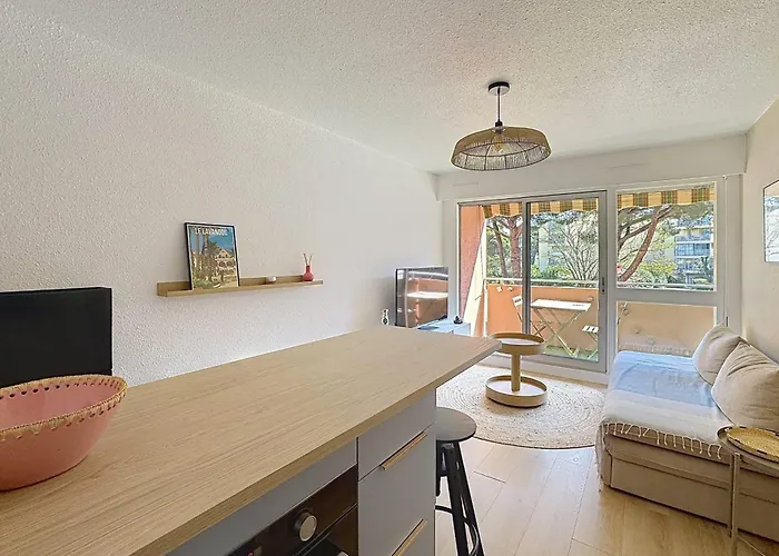 Charming Air-conditioned With Terrace & Parking 600 M From The Le Lavandou